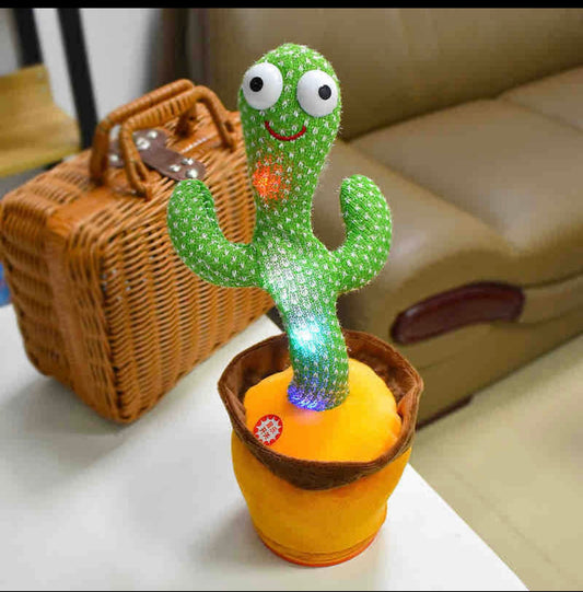 Cactus con cajita (P-130)